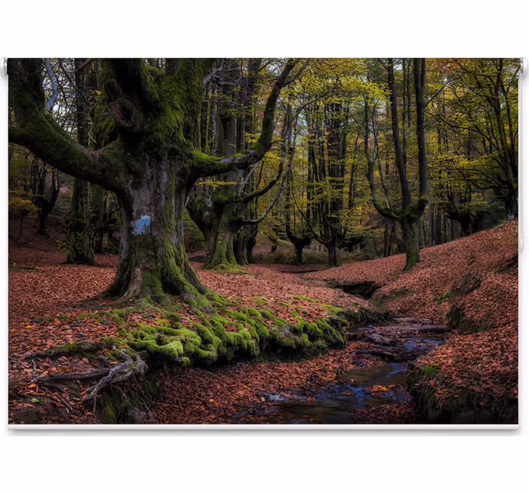 Enchanted autumn forest tree roller blind - TenStickers