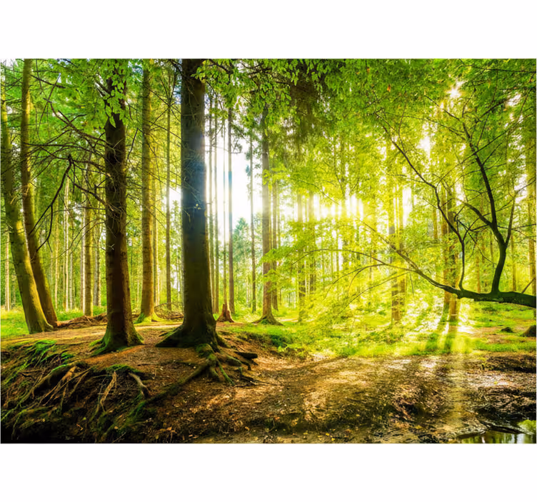 Tree roller blind lush mountain valley - TenStickers