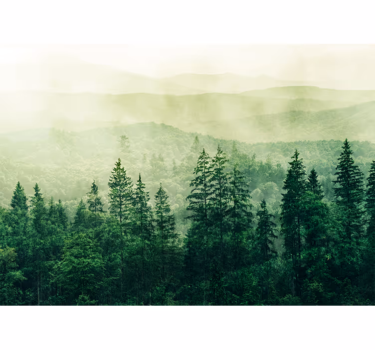 Kitchen blind green forest hill treetops - TenStickers