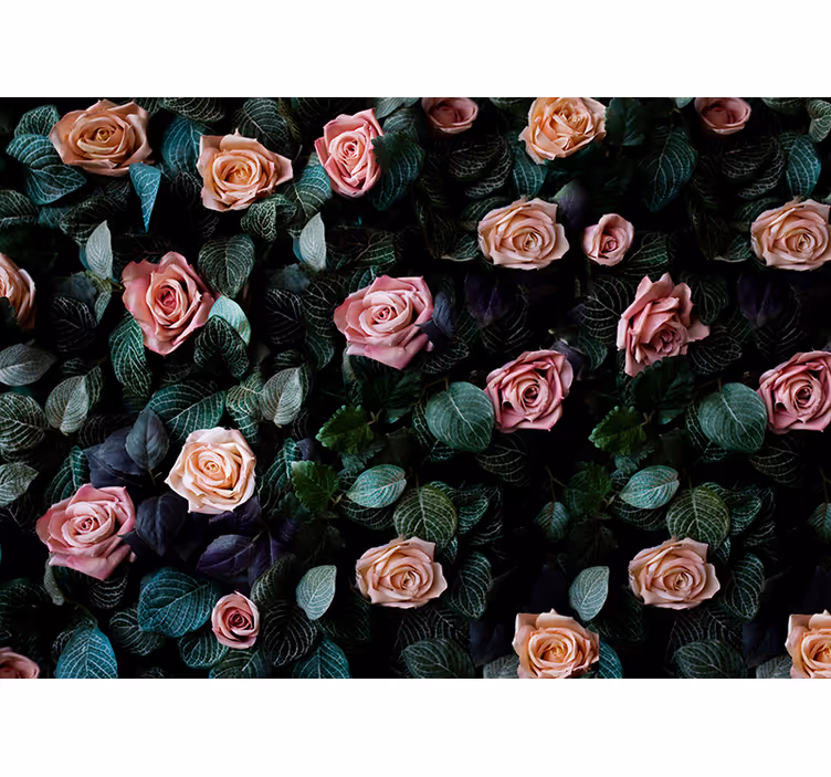 Kitchen blind pink coral roses design - TenStickers