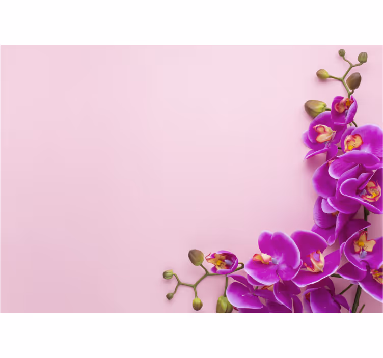 Kitchen blind in pink background with orchid - TenStickers