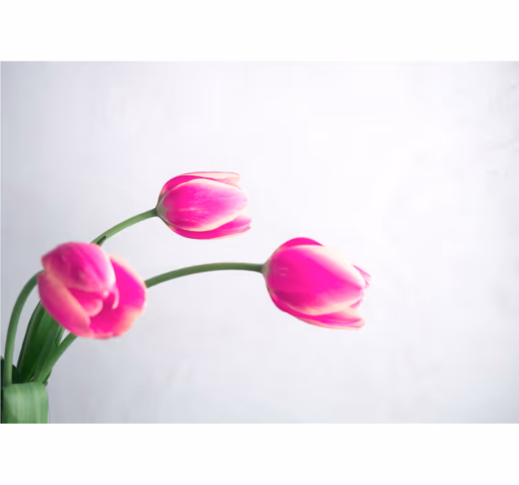 Kitchen blind three tulips on white background - TenStickers