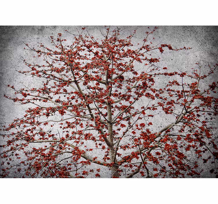 Kitchen blind featuring a minimalistic tree with red flowers - TenStickers