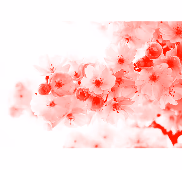 White blind with red bush wallpaper design - TenStickers