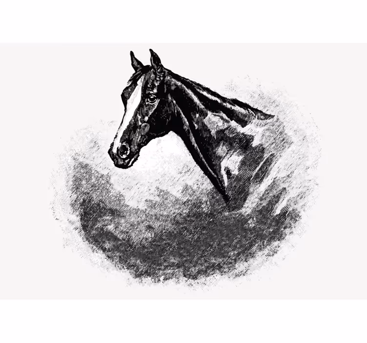 White blind graphite horses - TenStickers