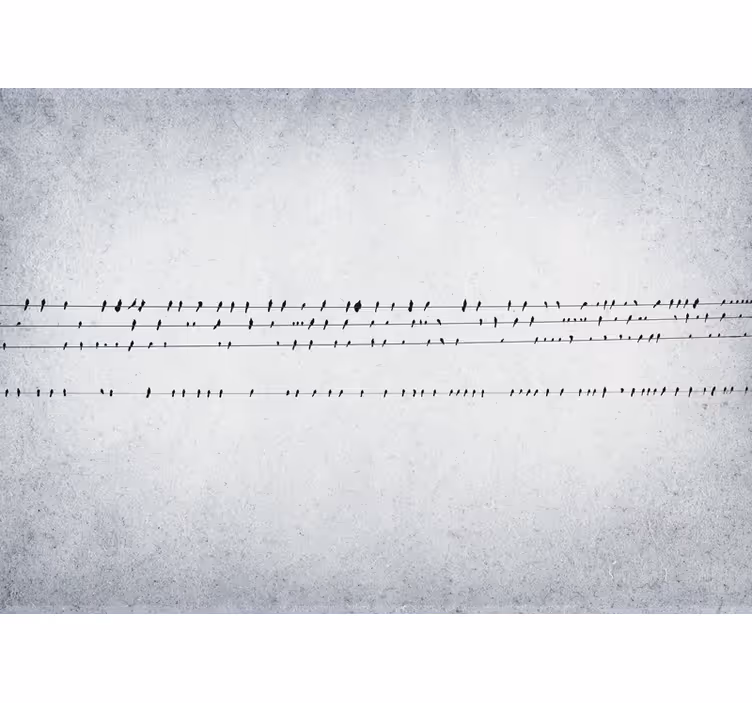 White blind birdsong on lines - TenStickers