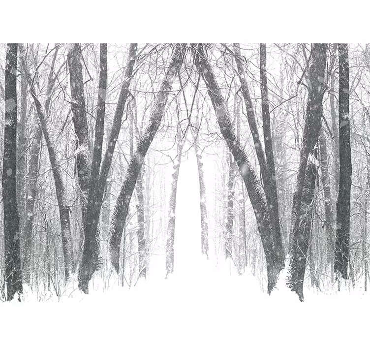 White blind winter trees in the forest - TenStickers