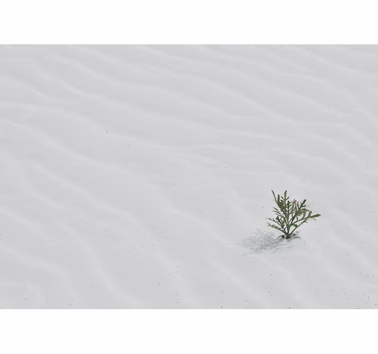 White blind in white desert sand color - TenStickers