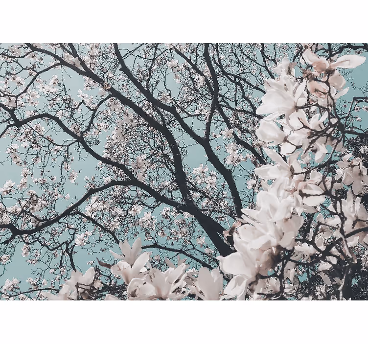 Living room blind elegant style cherry blossom - TenStickers