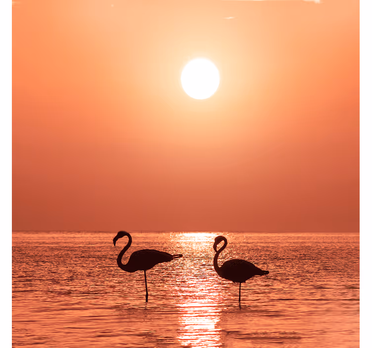 Living room blind with beautiful flamingo sunset - TenStickers