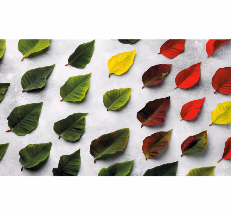 Living room blind top view colorful leaves - TenStickers