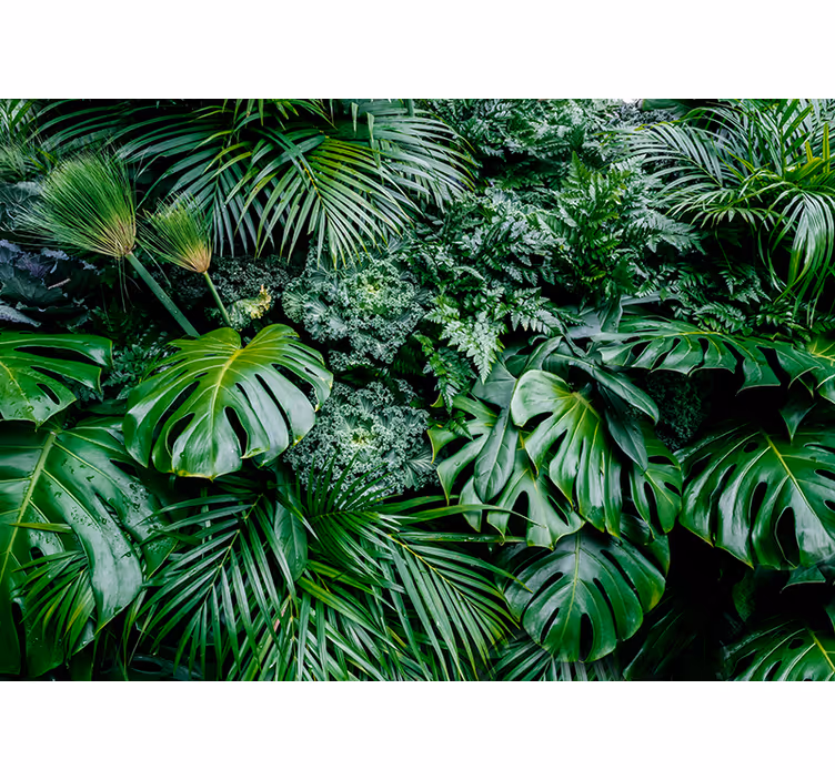 Green blind rainforest retreat - TenStickers