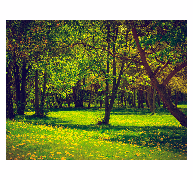 Green blind tranquil forest scene - TenStickers