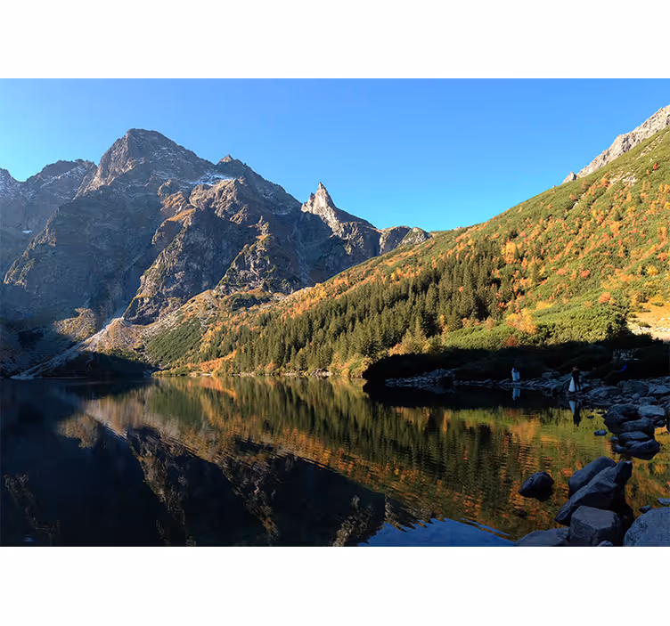 Green blind morskie oko in spring - TenStickers