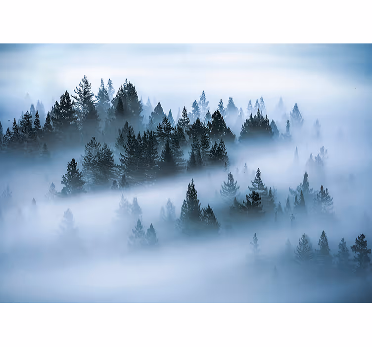 Living room blind morning mist - TenStickers