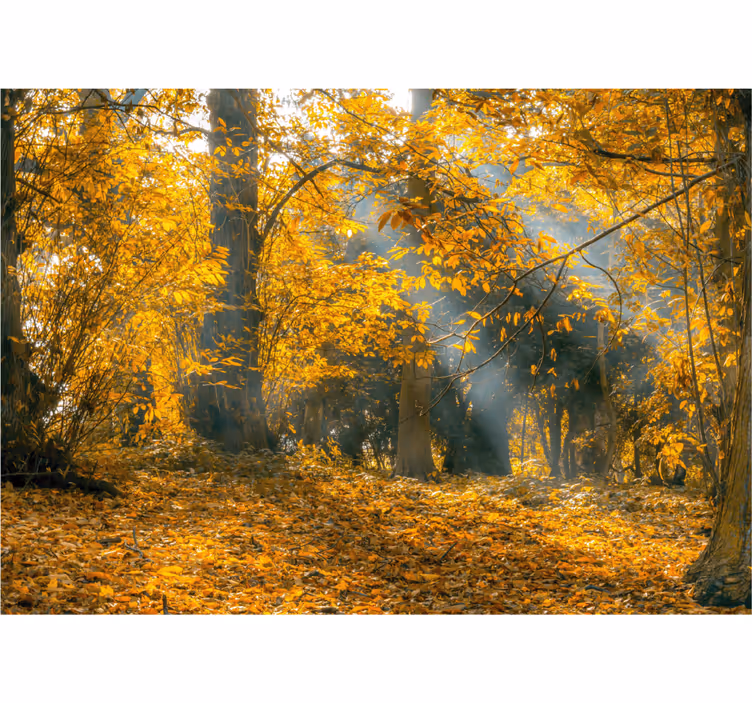 Living room blind golden autumn design - TenStickers