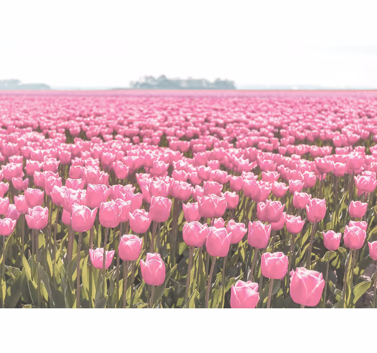 Living room blind different pink tulip field - TenStickers