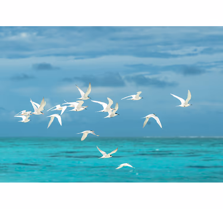 Living room blind birds in flight - TenStickers