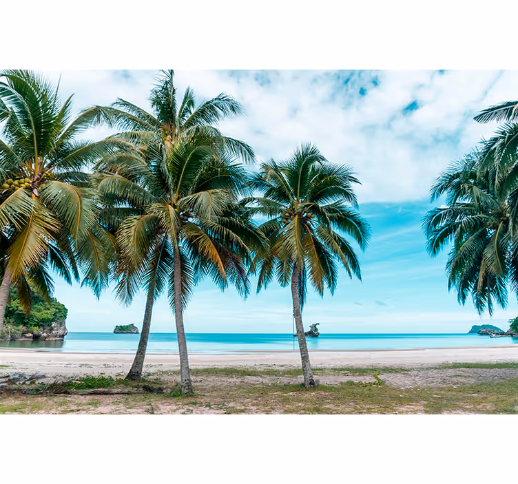 Living room blind with beach palms and sand design - TenStickers