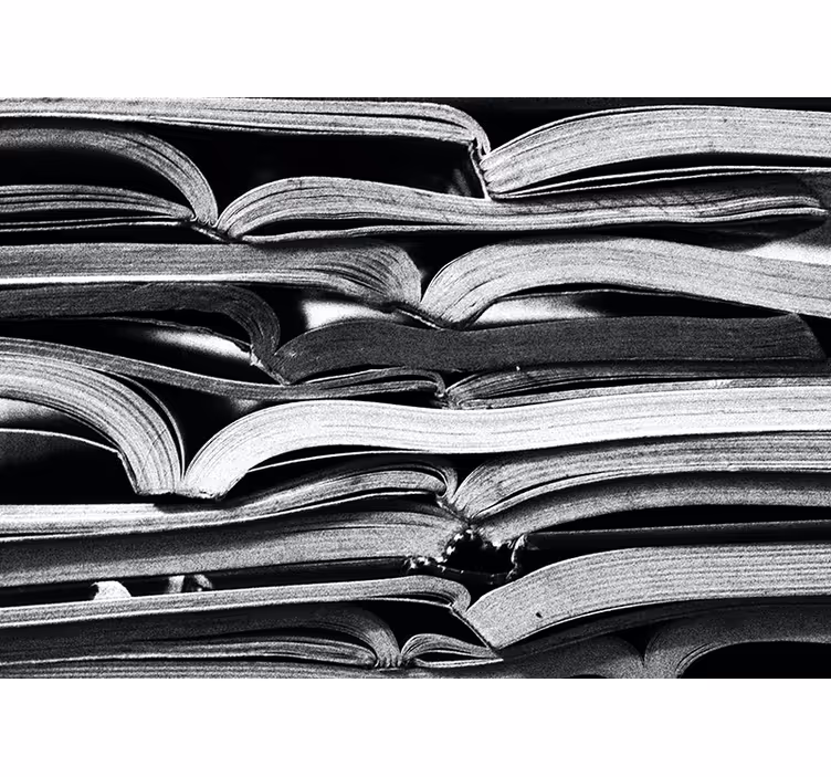 Living room blind open book style - TenStickers