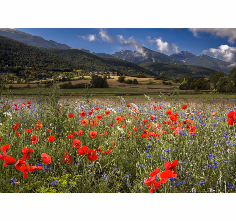 Living room blind pretty prairie field flowers - TenStickers
