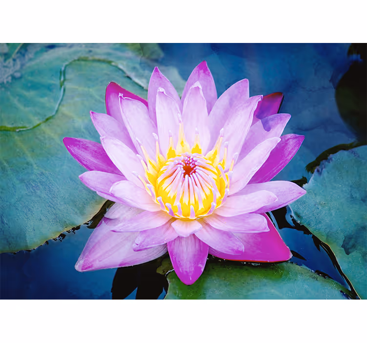 Living room blind purple lotus flower design - TenStickers