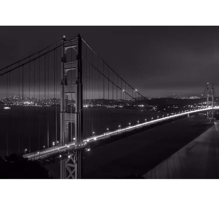 Living room blind golden gate at night monochrome - TenStickers