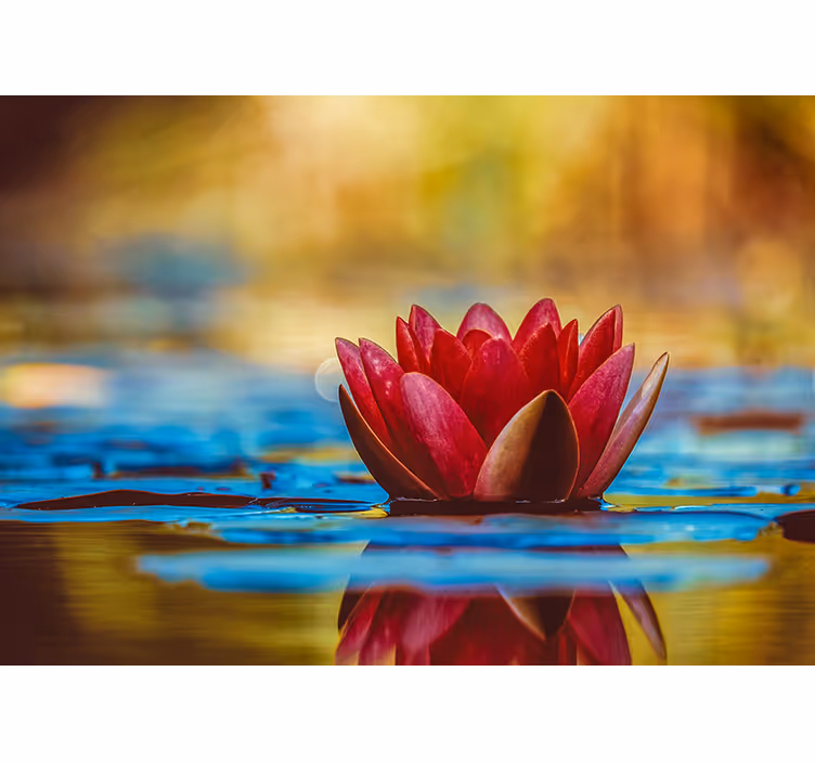 Living room blind with zen reflected lotus flower - TenStickers