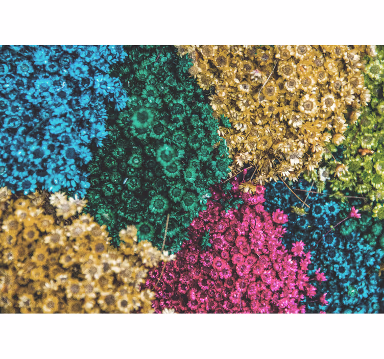 Living room blind rainbow daisies design - TenStickers
