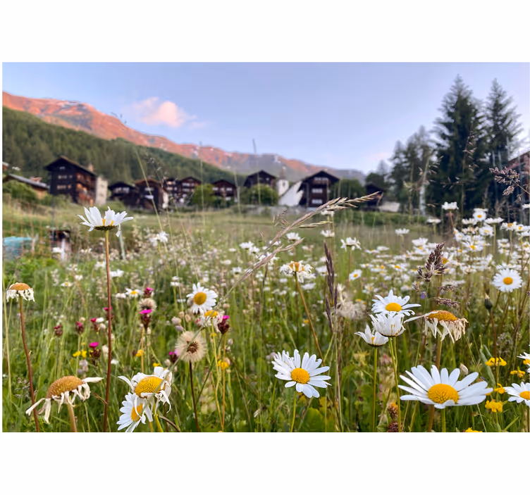 Living room blind with village flower landscape - TenStickers
