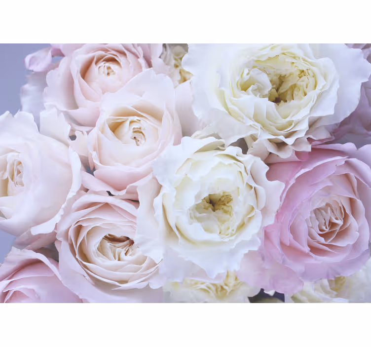 Living room blind different roses close up - TenStickers