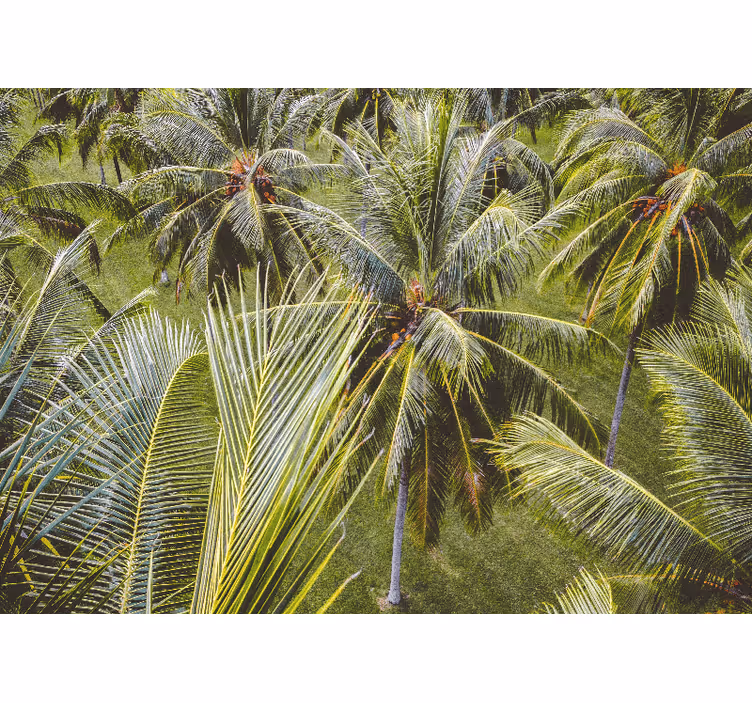 Living room blind green palm tree forest design - TenStickers