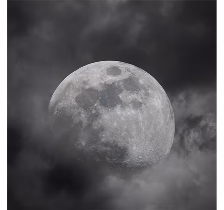 Living room blind in gray planet design - TenStickers