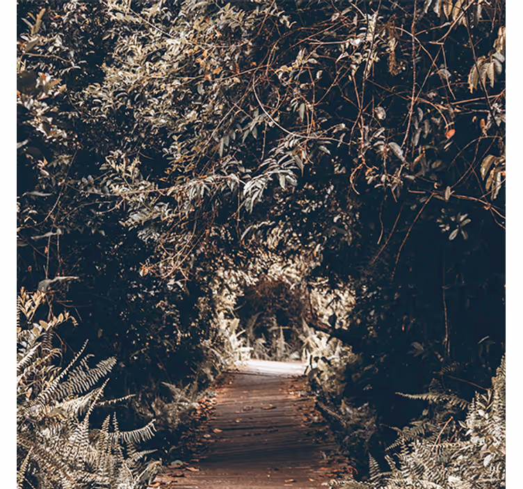 Living room blind nature tunnel to the forest - TenStickers