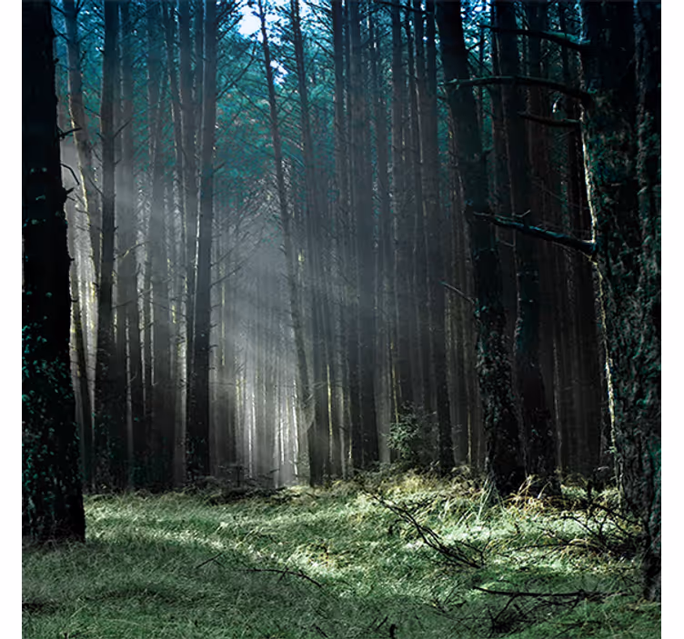 Living room blind in "nature" blue fog forest - TenStickers
