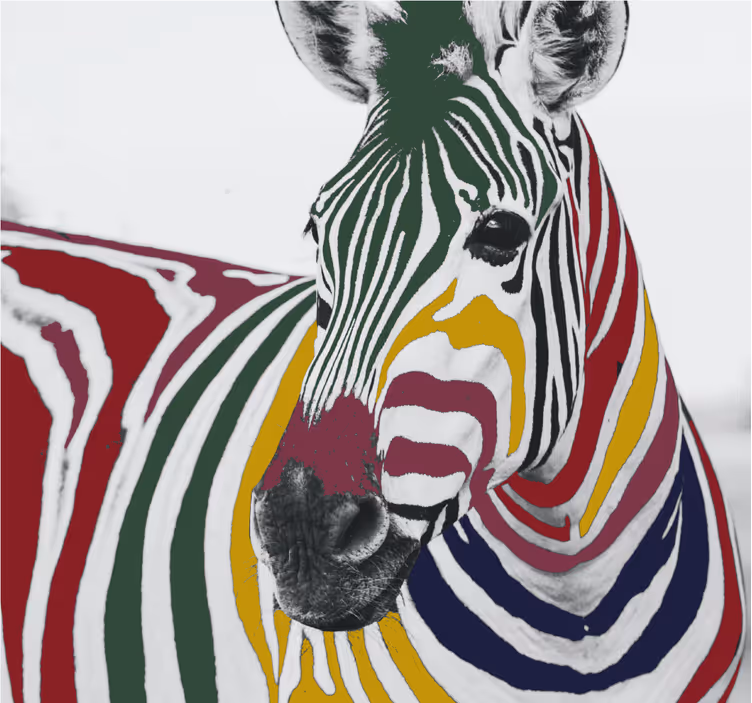 Living room blind colorful zebra painting art - TenStickers