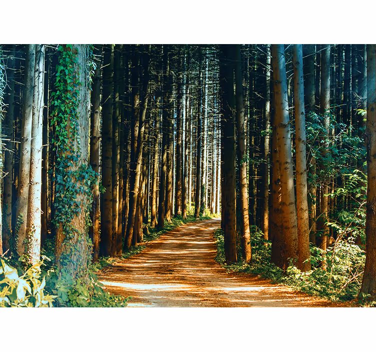 Living room blind beautiful nature path tree gate - TenStickers