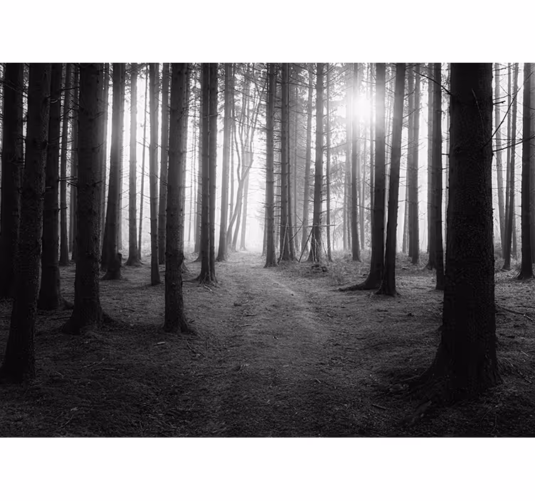 Grey blind enchanted forest - TenStickers