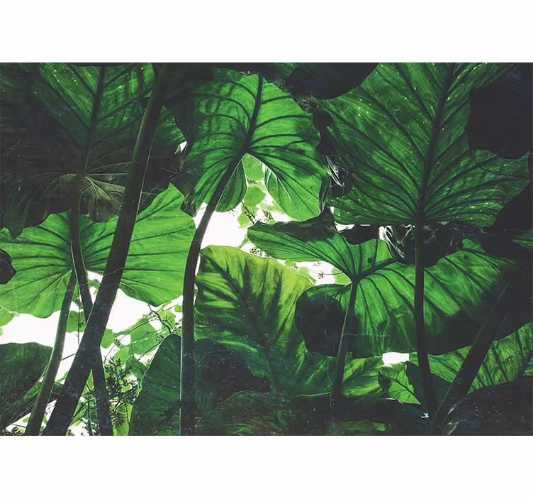 Living room blind with beautiful green rainforest design - TenStickers