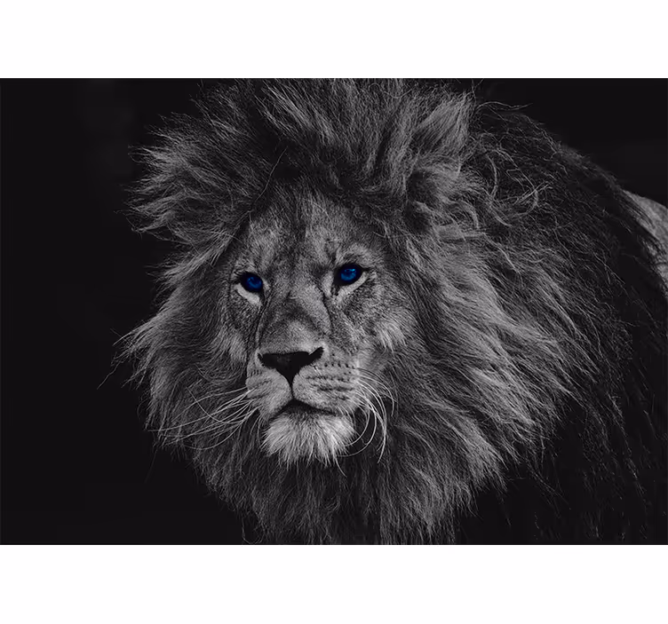 Grey blind with blue eyes lion - TenStickers