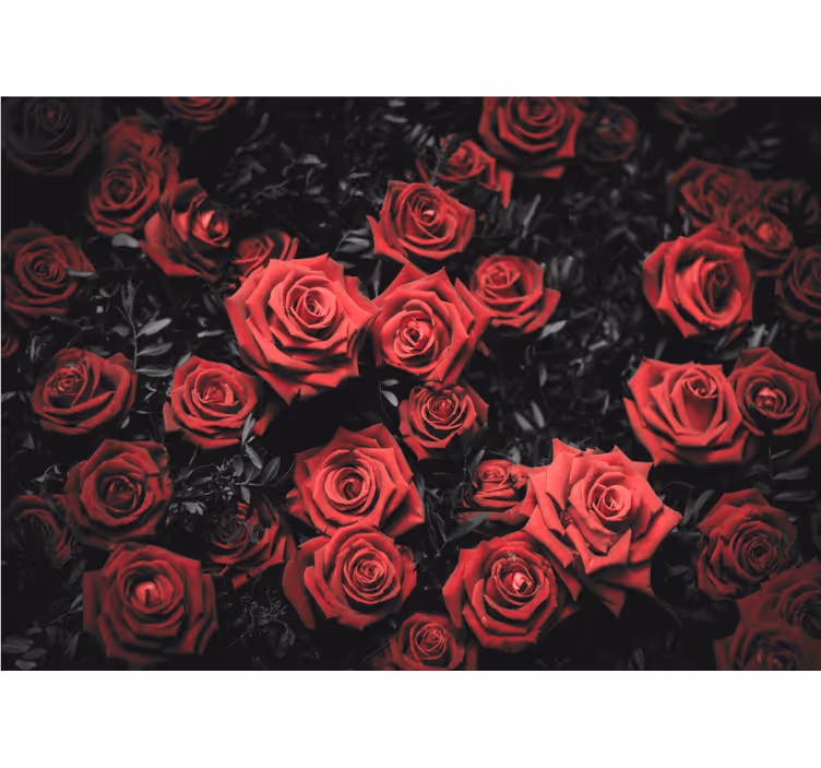 Bedroom blind in black and white with red roses - TenStickers