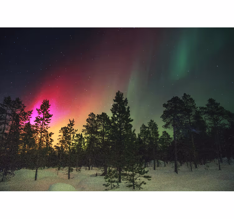 Bedroom blind northern lights above trees - TenStickers