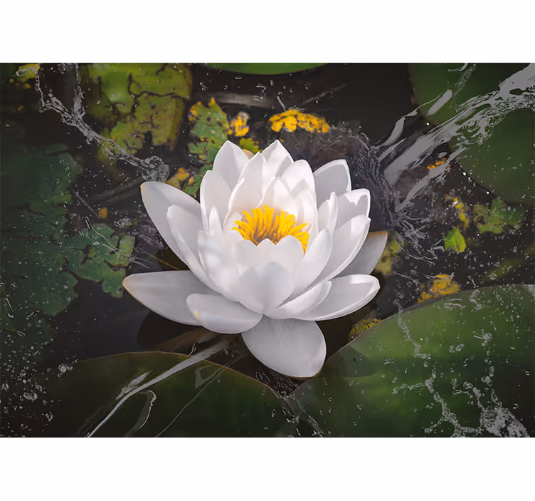 Bedroom blind white and yellow lotus - TenStickers