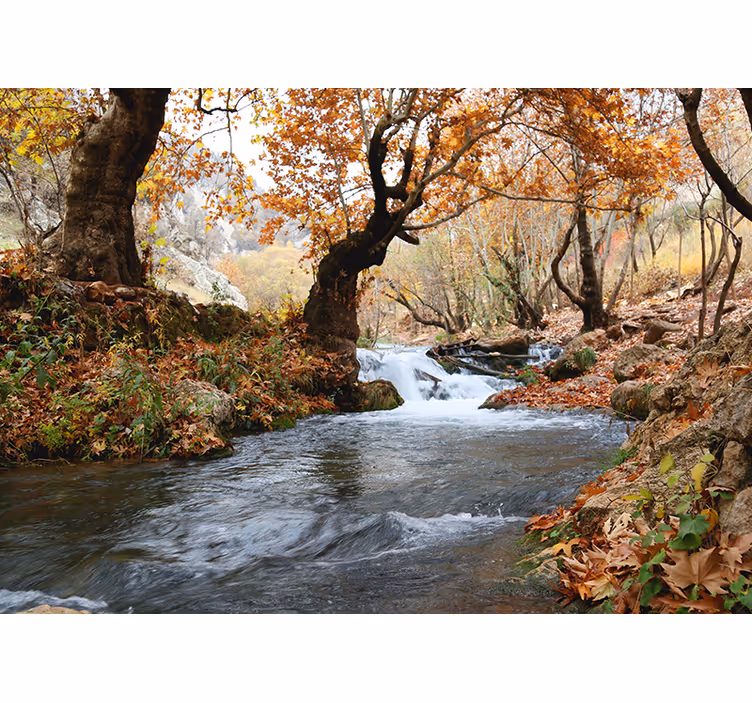 Autumn forest water flow bedroom blind - TenStickers