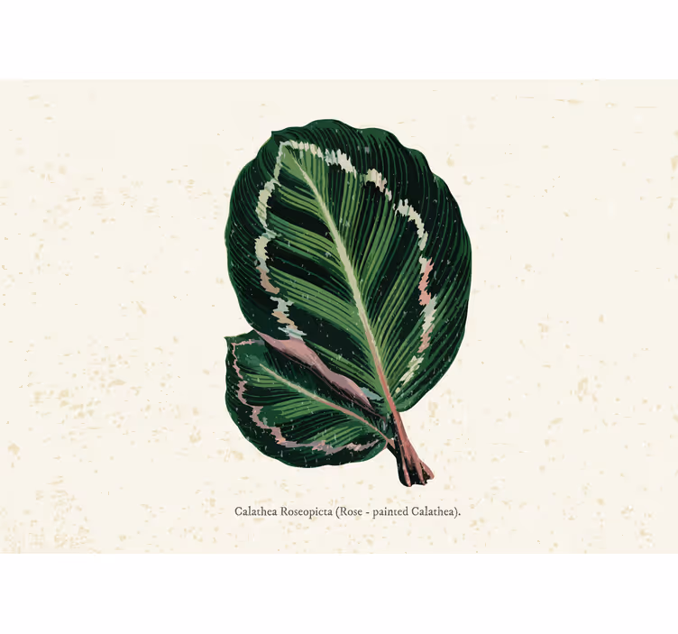 Bedroom blind with green red maranta leaves - TenStickers