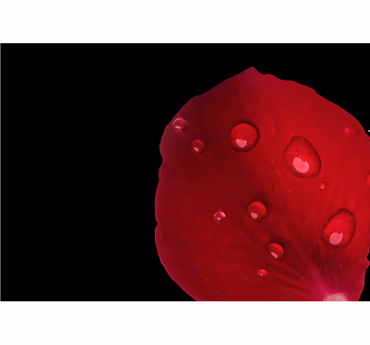 Bedroom blind with red rose pattern and water drops - TenStickers