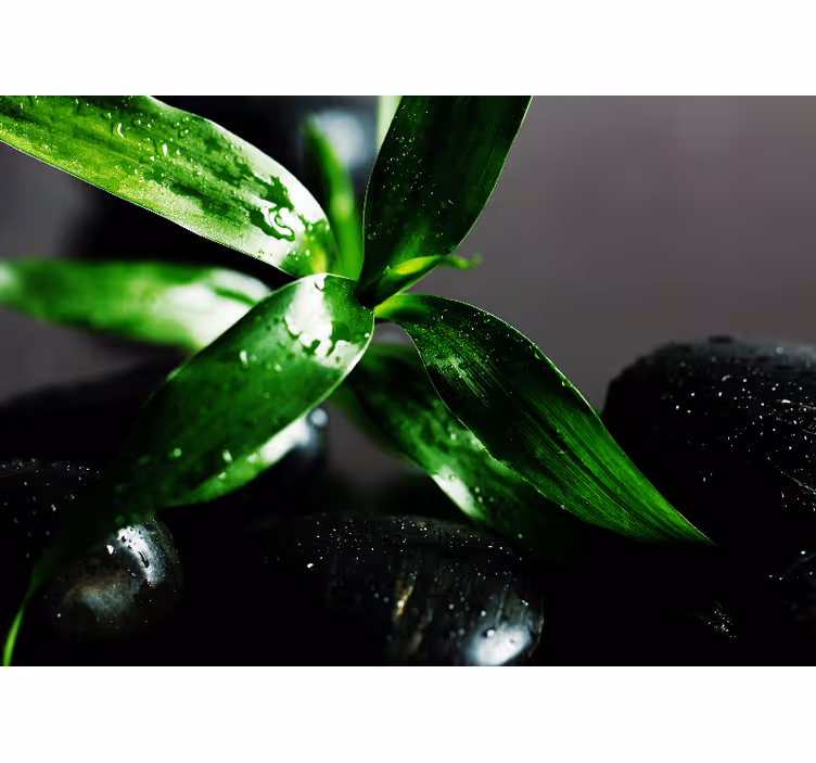 Zen black stones on water bedroom blind - TenStickers