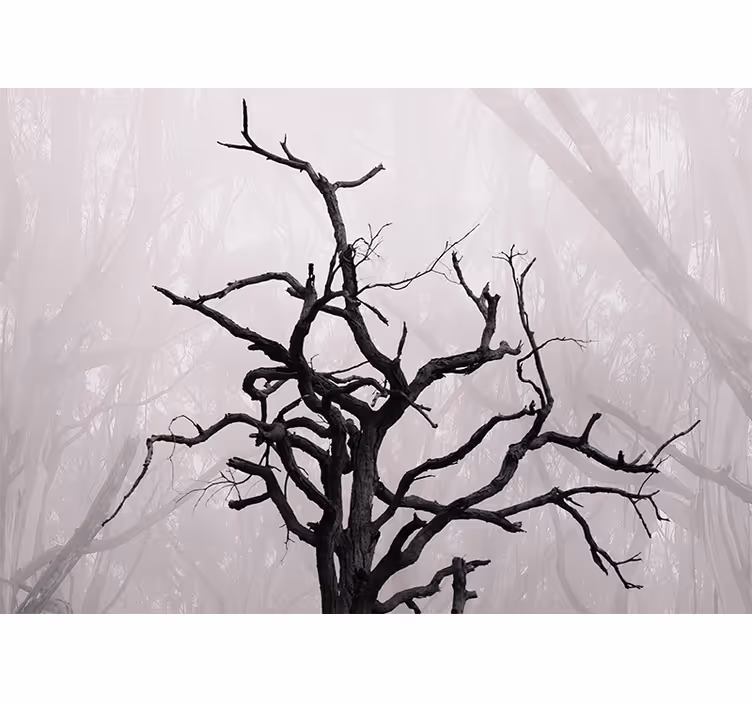 Bedroom blind natural forest branches in fog - TenStickers