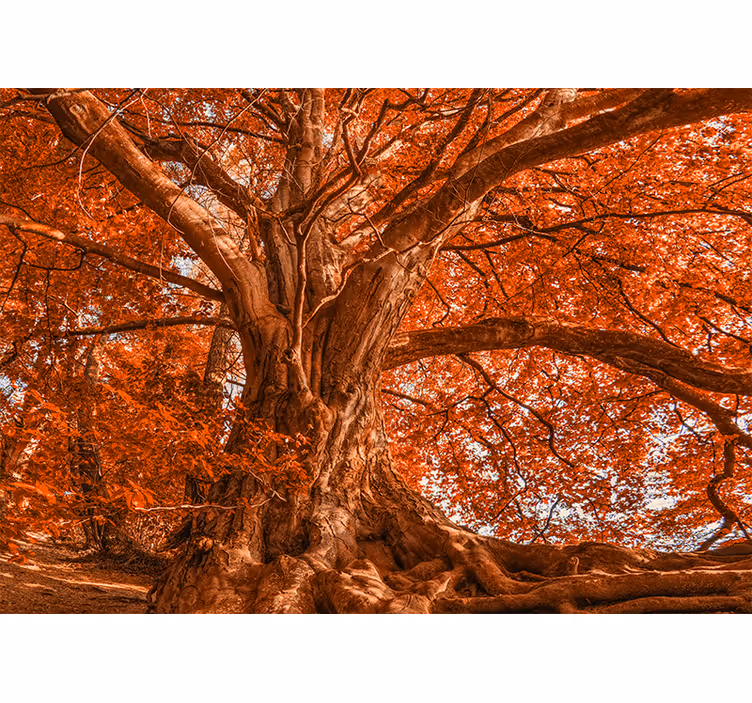 Bedroom blind big beautiful autumn tree - TenStickers