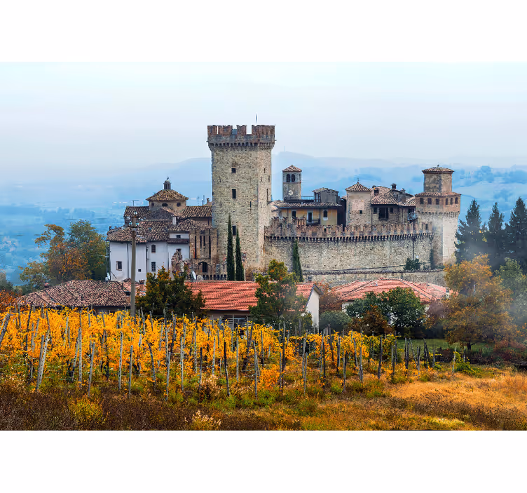 Bedroom blind with beautiful emilia-romagna vineyards design - TenStickers